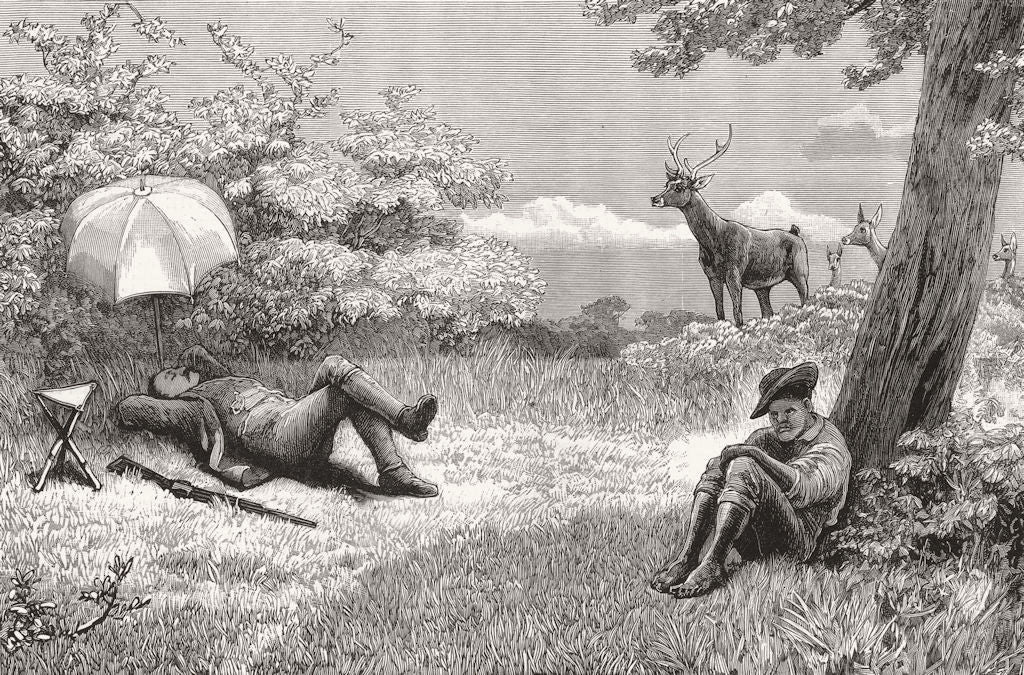 MAURITIUS. Stag-driving in-lost opportunity 1883 old antique print picture